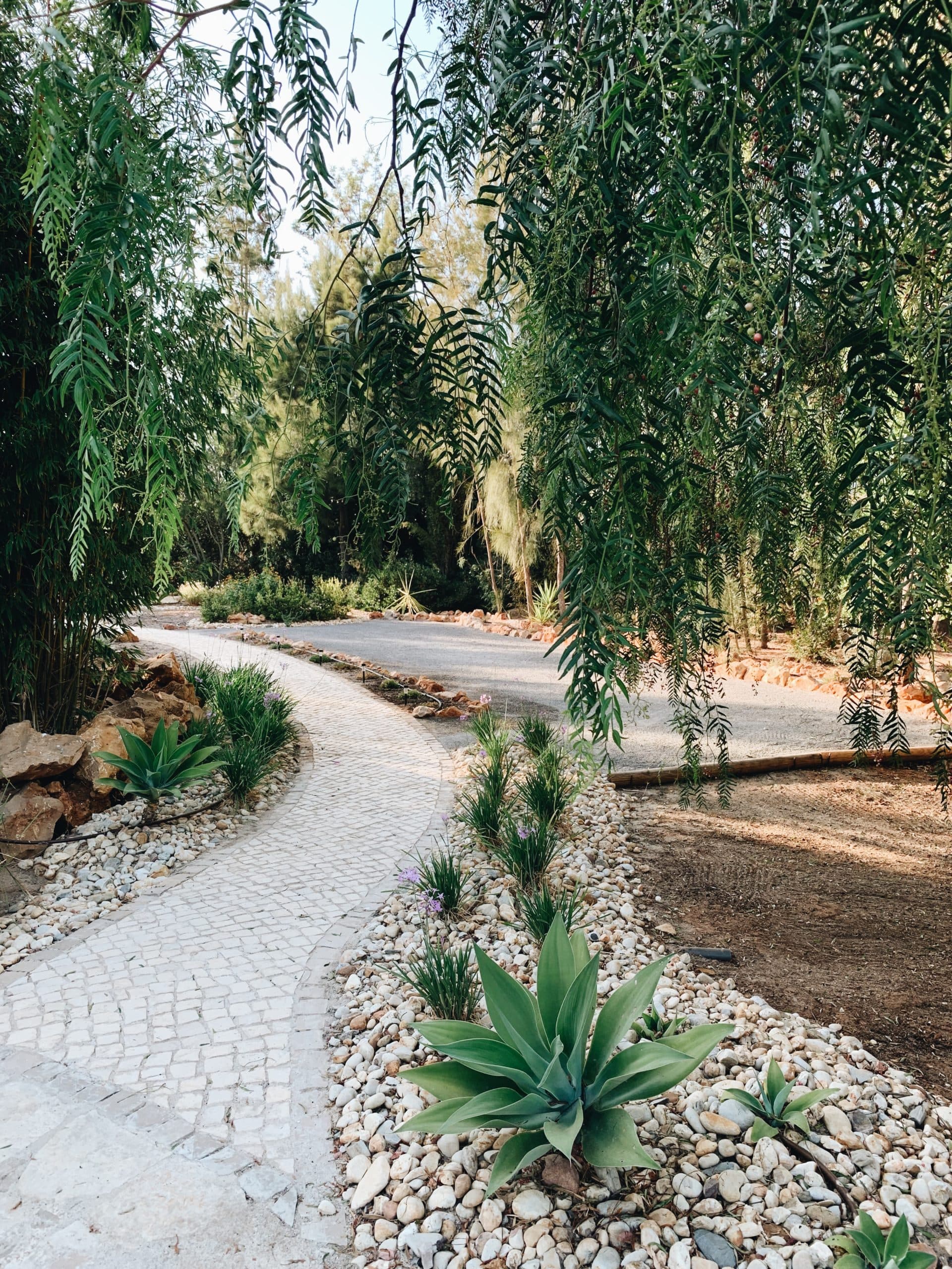 Une allée du jardin, entre rochers et plantes