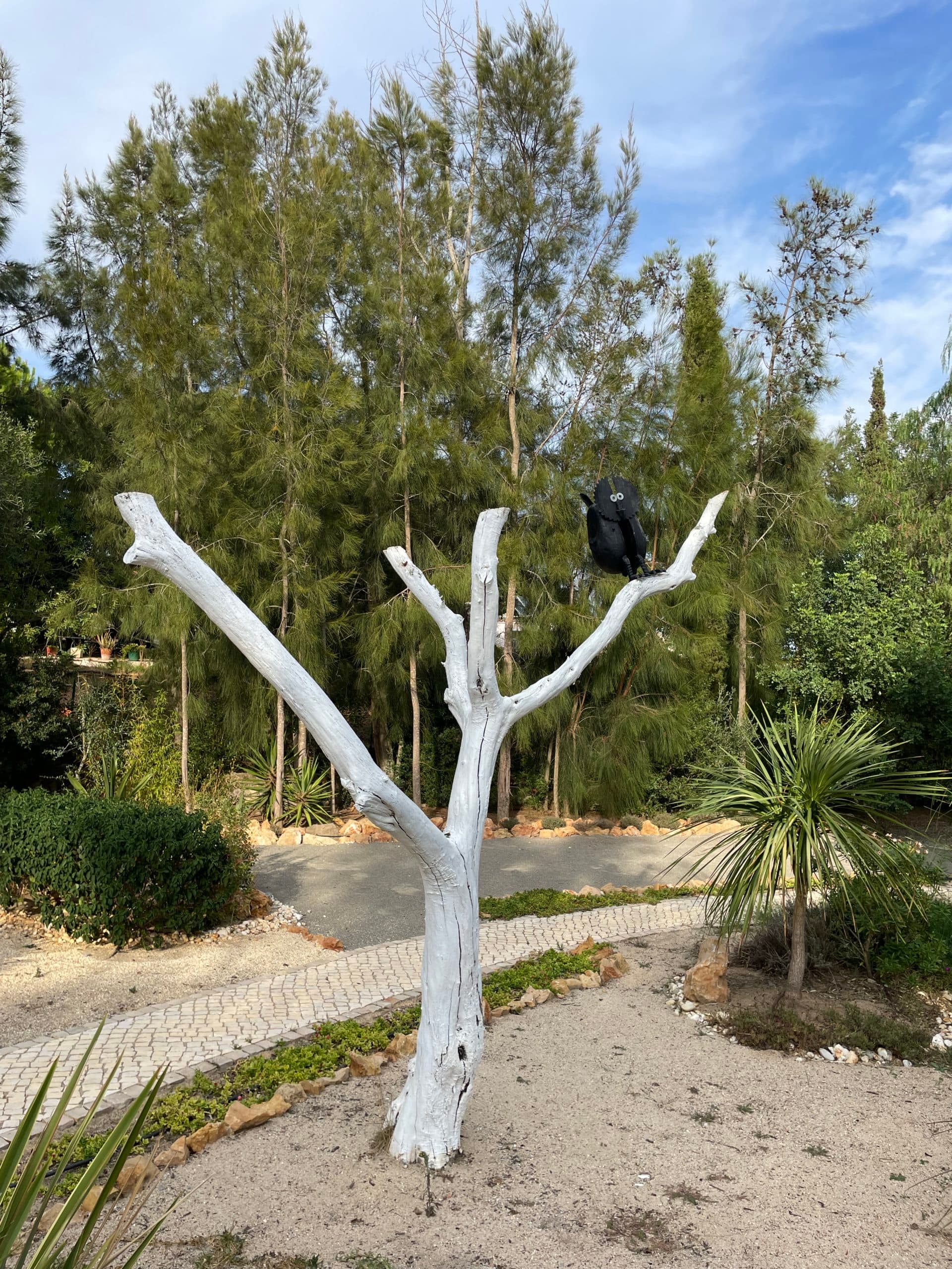 Le hibou perché sur son arbre blanc