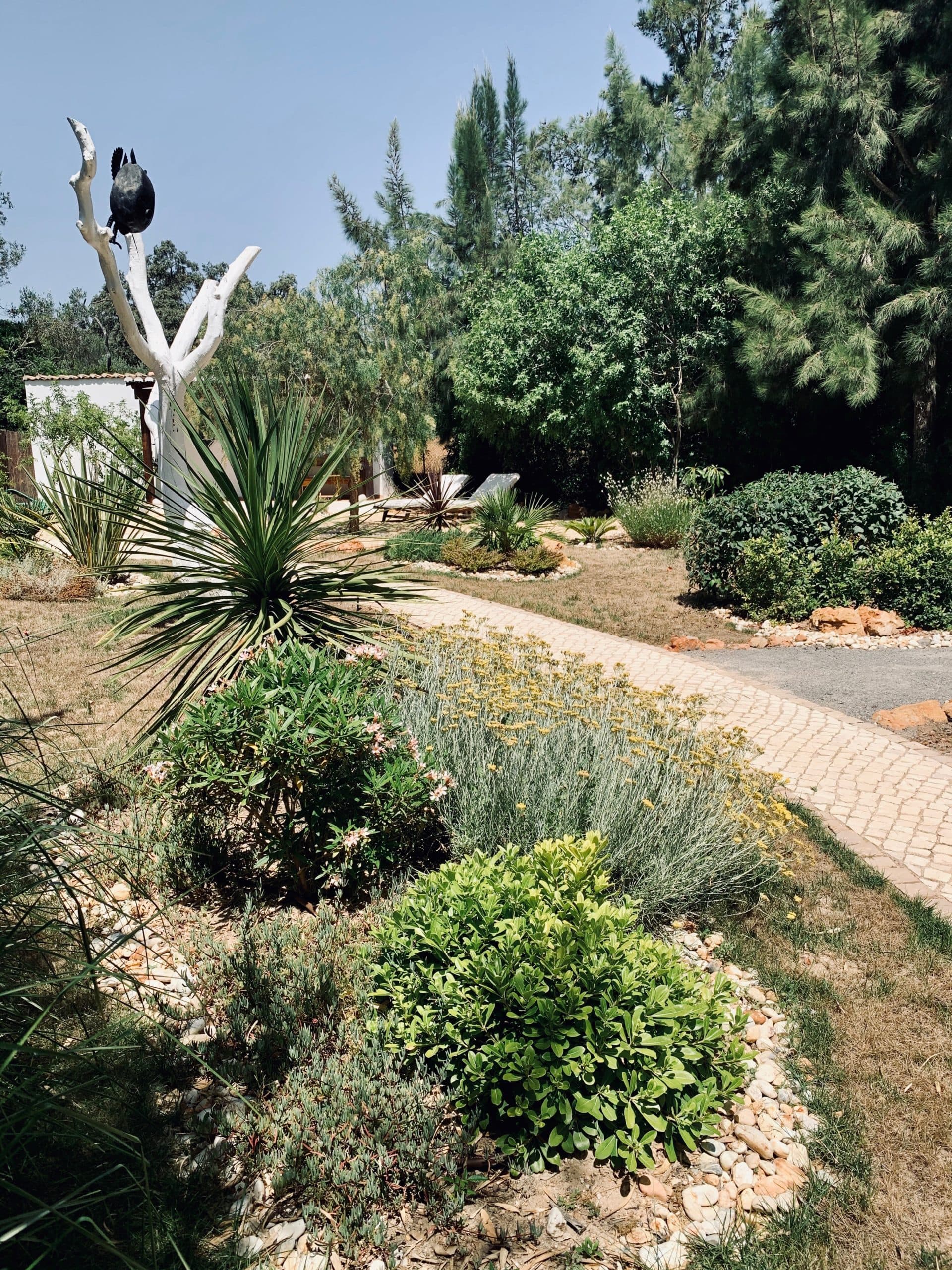 Le jardin de La Caroube