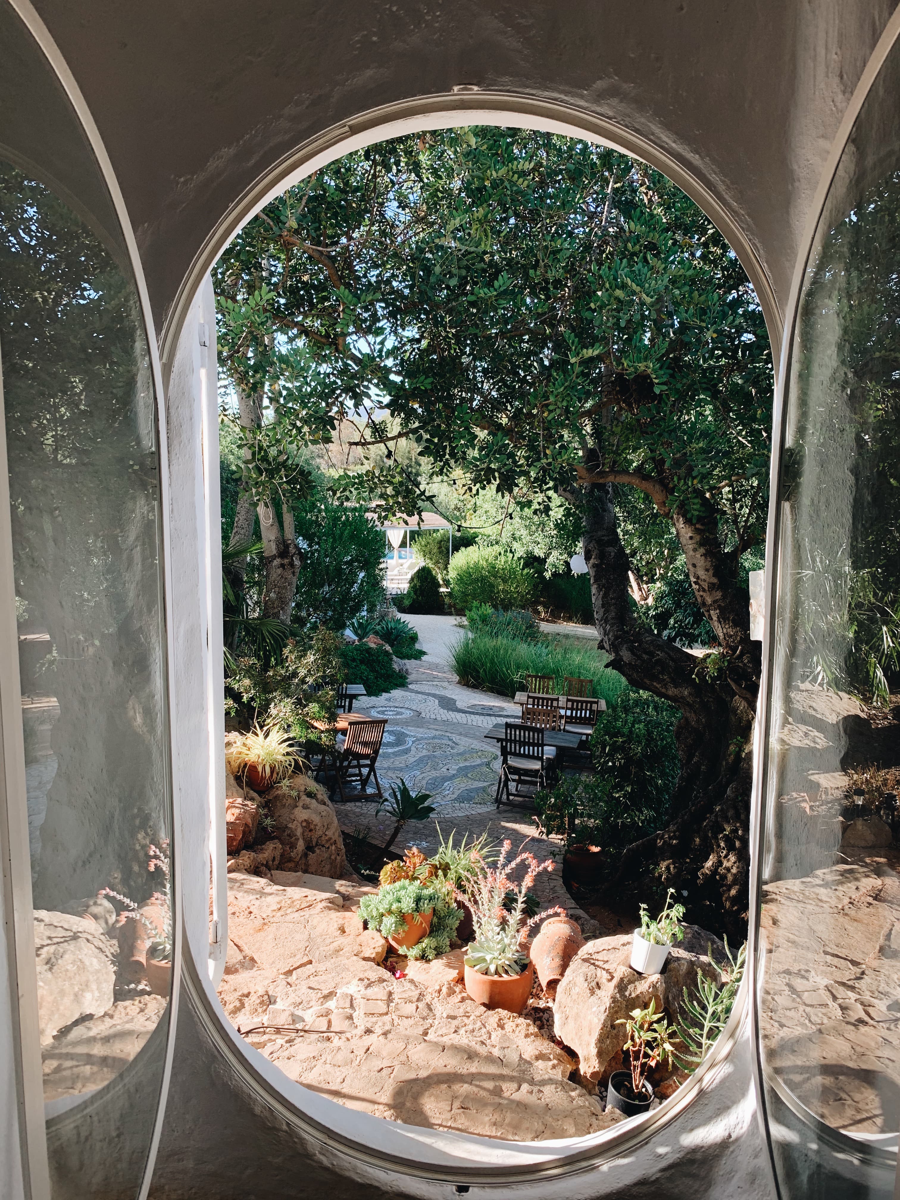 Le jardin vu depuis la cuisine